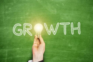 Growth by Leadership